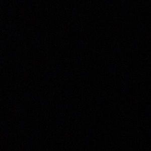 Meet your Posher, Bryce